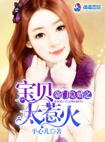豪门隐婚之宝贝太美 豪门隐婚之宝贝太美