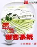 最强田园系统 最强田园系统