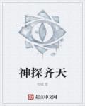 神探齐天 神探齐天