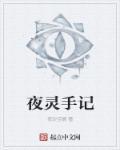 夜灵手记 夜灵手记