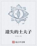 遗失的土夫子 遗失的土夫子