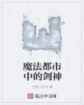 魔法都市中的剑神 魔法都市中的剑神