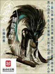 大武侠辅助系统 大武侠辅助系统