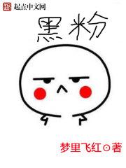 黑粉 黑粉