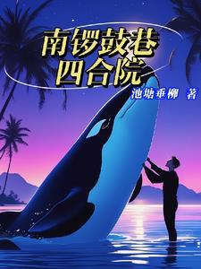 南锣鼓巷四合院 南锣鼓巷四合院