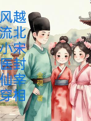 风流小医仙,穿越北宋封宰相 风流小医仙,穿越北宋封宰相