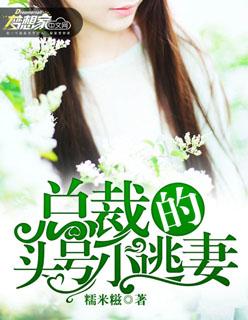 总裁的头号小逃妻 总裁的头号小逃妻