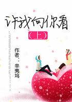 许我向你看(上) 许我向你看(上)