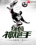 绿茵神炮手 绿茵神炮手