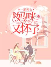 一胎两宝:爹地,妈咪又怀了? 一胎两宝:爹地,妈咪又怀了?