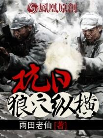 抗日狼穴纵横 抗日狼穴纵横