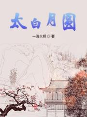 太白月圆 太白月圆